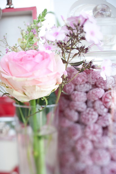 img015.jpg