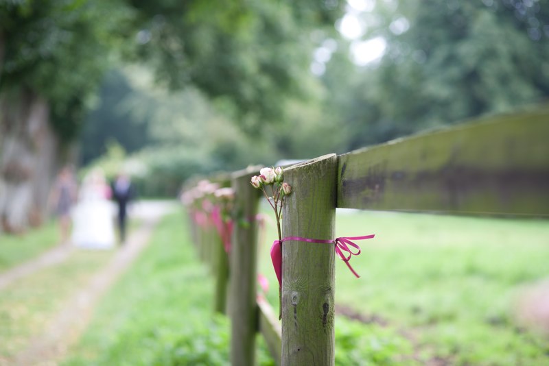 img020.jpg