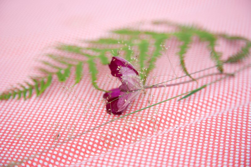 img017.jpg
