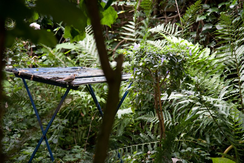 img019.jpg